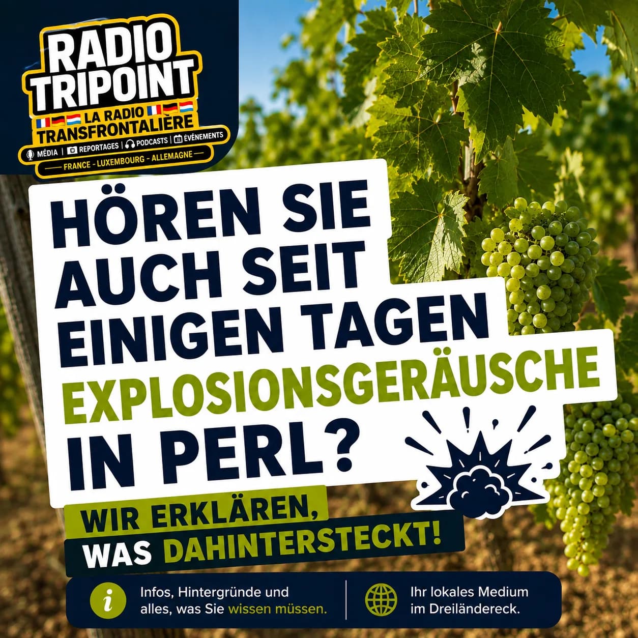 Visuel en allemand « Hören Sie auch seit einigen Tagen Explosionsgeräusche in Perl? » sur fond de vigne et de grappes de raisin.