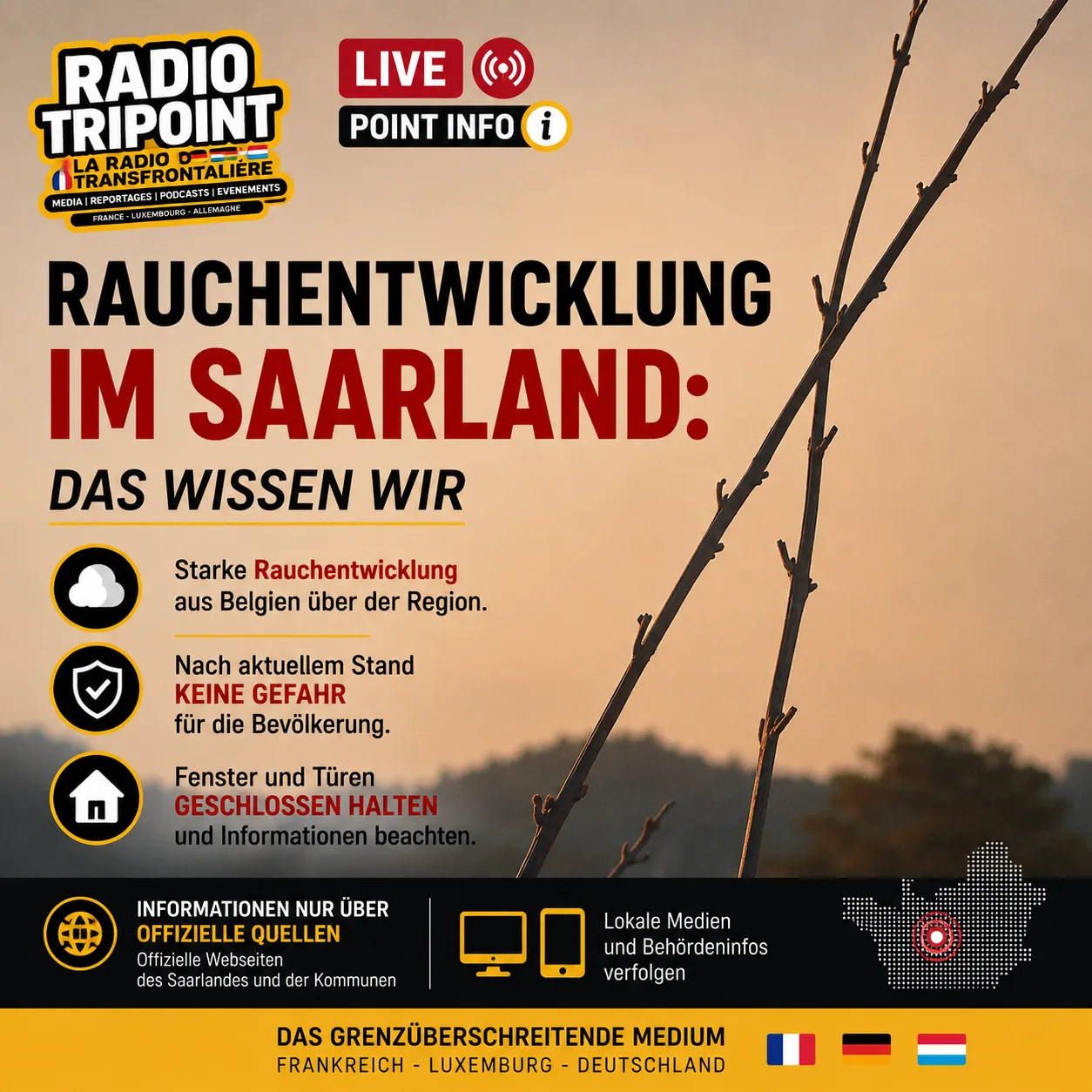 Visuel en allemand « Rauchentwicklung im Saarland: das wissen wir » avec des branches devant un ciel orangé et trois consignes illustrées.