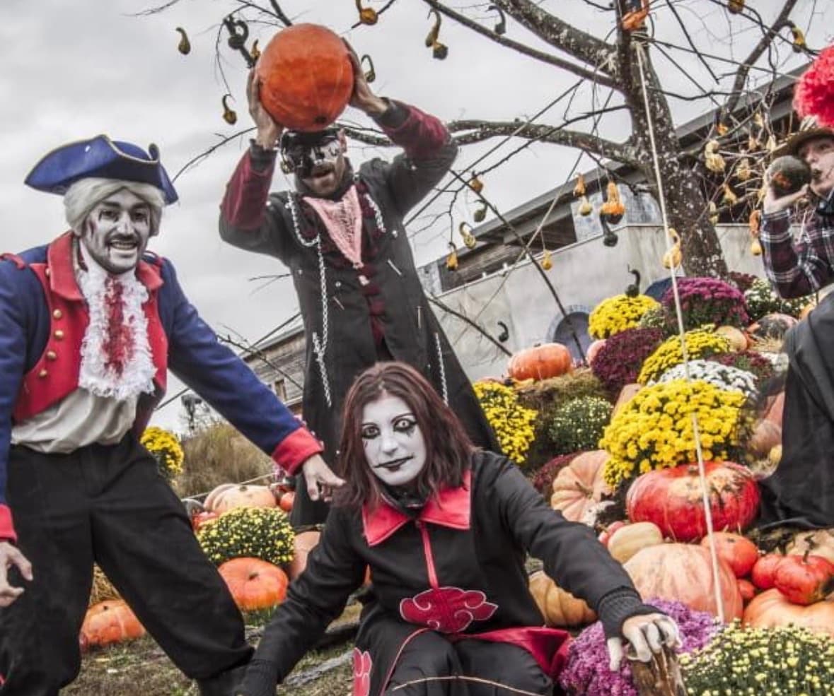 Halloween: ein importiertes Fest, das das Dreiländereck in Bewegung bringt.